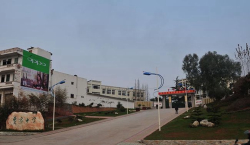 簡陽市賈家中學(xué)校園大道