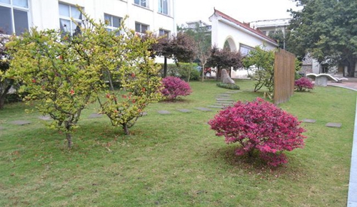 簡陽市賈家中學(xué)校園綠地
