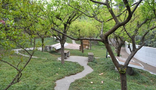 簡陽市賈家中學(xué)校園小徑