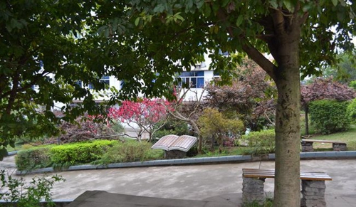 簡陽市賈家中學(xué)校園長椅
