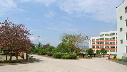 四川省蒼溪中學(xué)校校園環(huán)境1