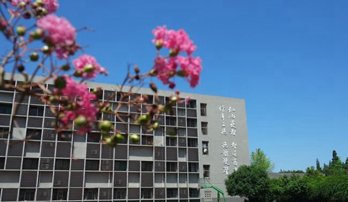 成都市鹽道街外語學(xué)校春日校園