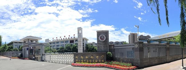 樹德中學都江堰外國語實驗學校校門全景圖