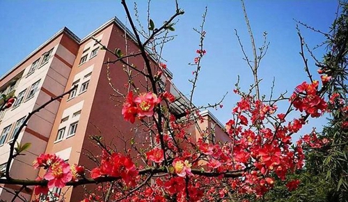 樹德中學(xué)博瑞實(shí)驗(yàn)學(xué)校校園春色