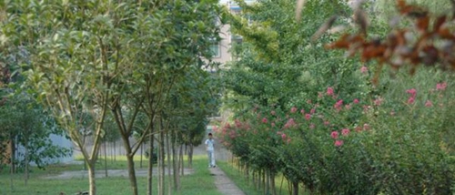 大英中學(xué)校園風(fēng)景