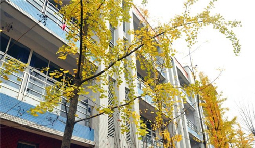 射洪綠然國際學校校園環(huán)境2