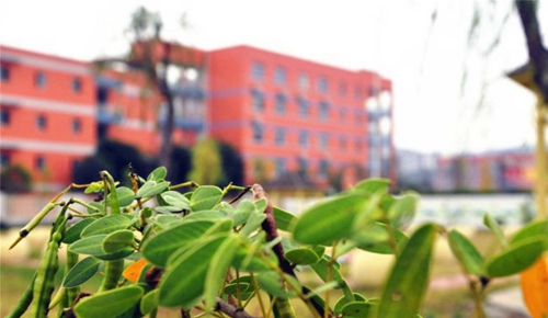 射洪綠然國際學校校園一角