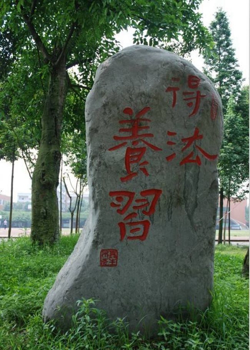四川省大邑中學(xué)校園石