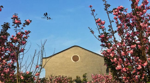 四川省大邑縣安仁中學(xué)春日校園