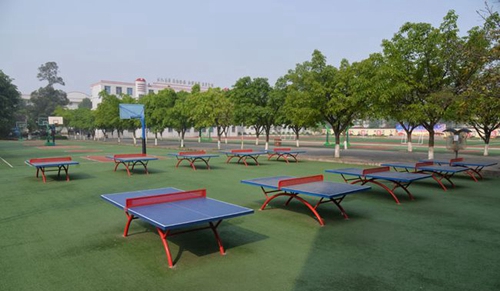 成都市青白江中學(xué)校園運動角