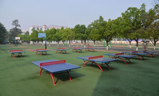 成都市青白江中學(xué)校園運(yùn)動角