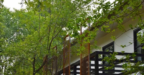 成都老鷹畫(huà)室校園環(huán)境1