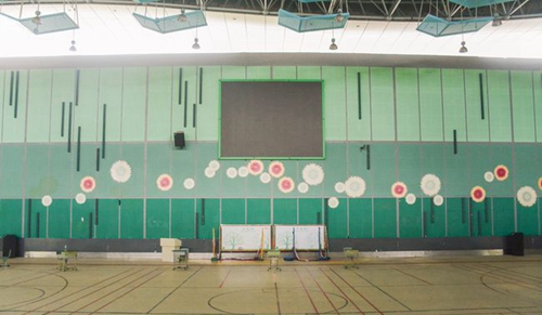 牛津國際公學(xué)成都學(xué)校體育館