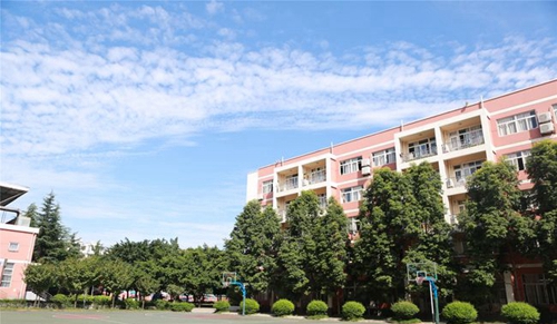 成都七中嘉祥外國語學(xué)校國際高中校園籃球場