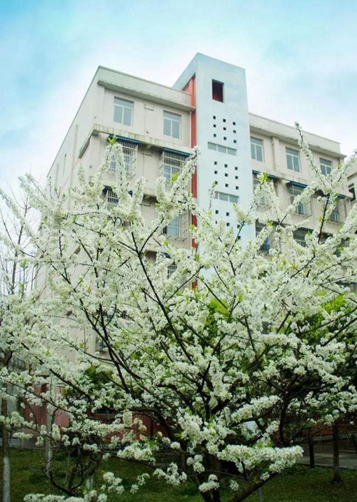 四川師范大學附屬中學外國語學校學生宿舍樓