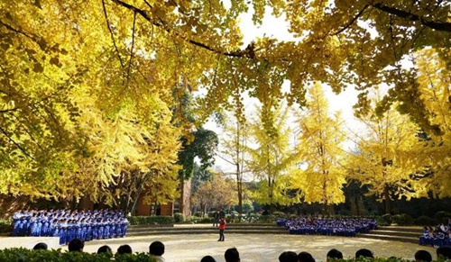 成都市華西中學秋日校園