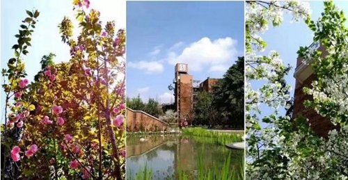 成都市華西中學校園美景