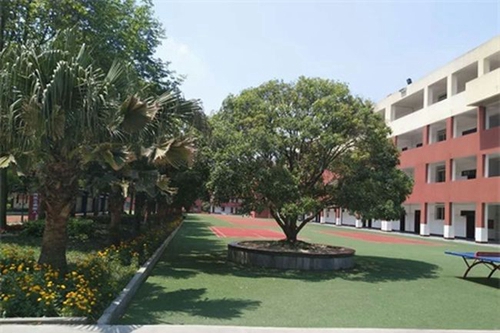 郫縣文武學(xué)校校園綠化