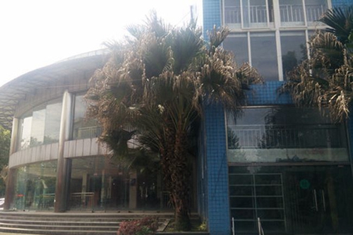 郫縣文武學(xué)校校園一角3