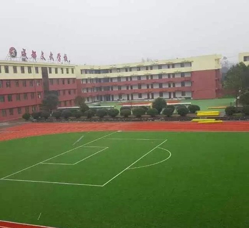 郫縣文武學(xué)校友愛校區(qū)操場