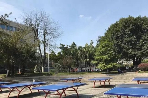 成都市第三十八中學(xué)校乒乓球臺