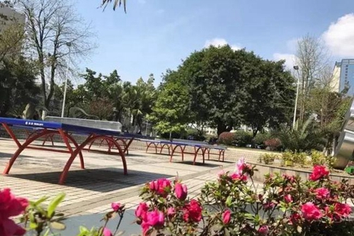 成都市第三十八中學(xué)校運動場