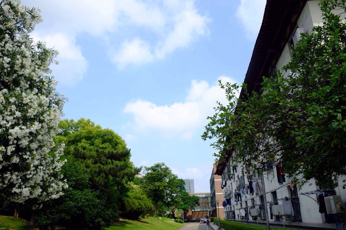 2022年重慶市醫(yī)科學校招生報名條件