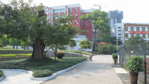 赤水市第一中學春日校園