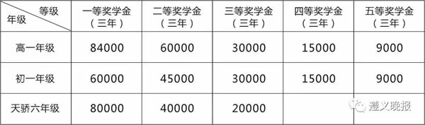 遵義天立國際學校資助政策