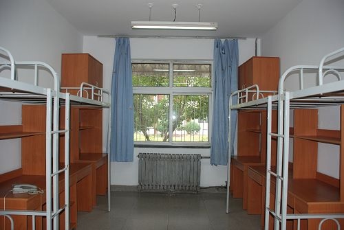 532.jpg