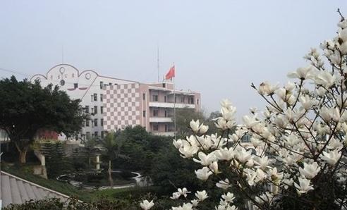 20201130142640152160.jpg 90.jpg