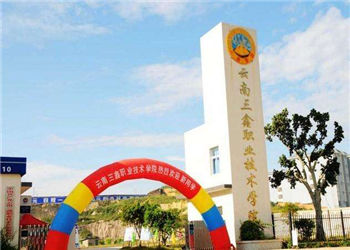 云南三鑫職業(yè)技術(shù)學(xué)院2021年五年制大專招生簡(jiǎn)章