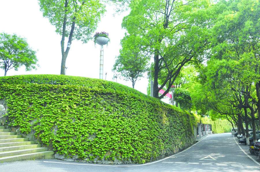 重慶科創(chuàng)職業(yè)學(xué)院2019年五年一貫制招生計劃