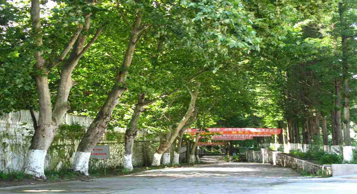 學校環(huán)境