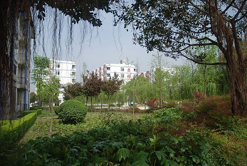 成都龍泉職業(yè)技術(shù)學(xué)校