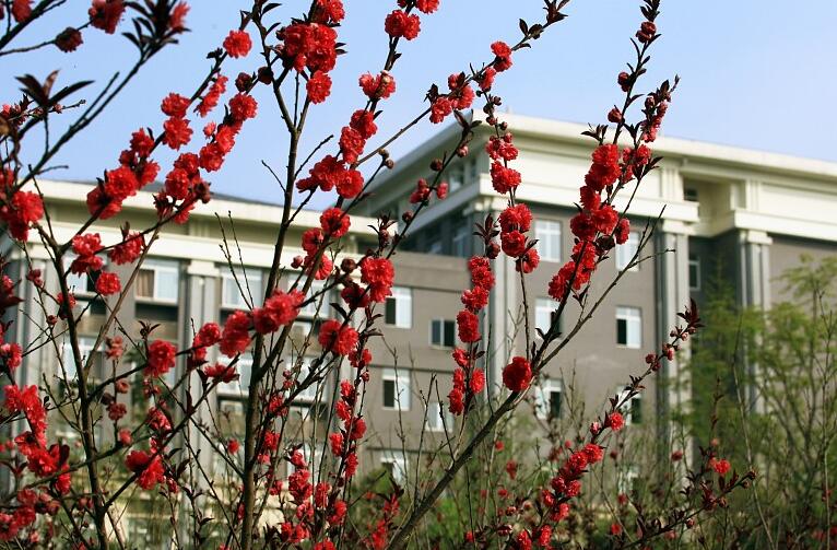 重慶能源職業(yè)學院五年一貫制2019年招生對象及招生條件