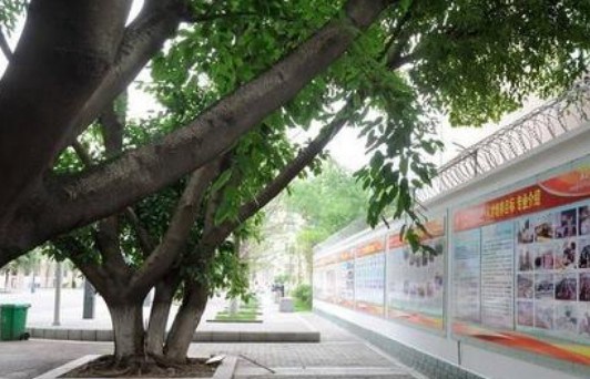 校園