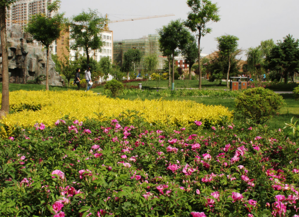 校園環(huán)境 (1)