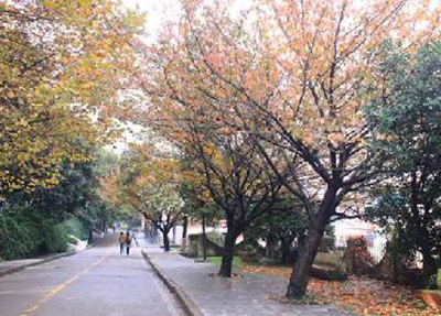 貴州交通職業(yè)技術(shù)學(xué)院 貴州交通職業(yè)技術(shù)學(xué)院