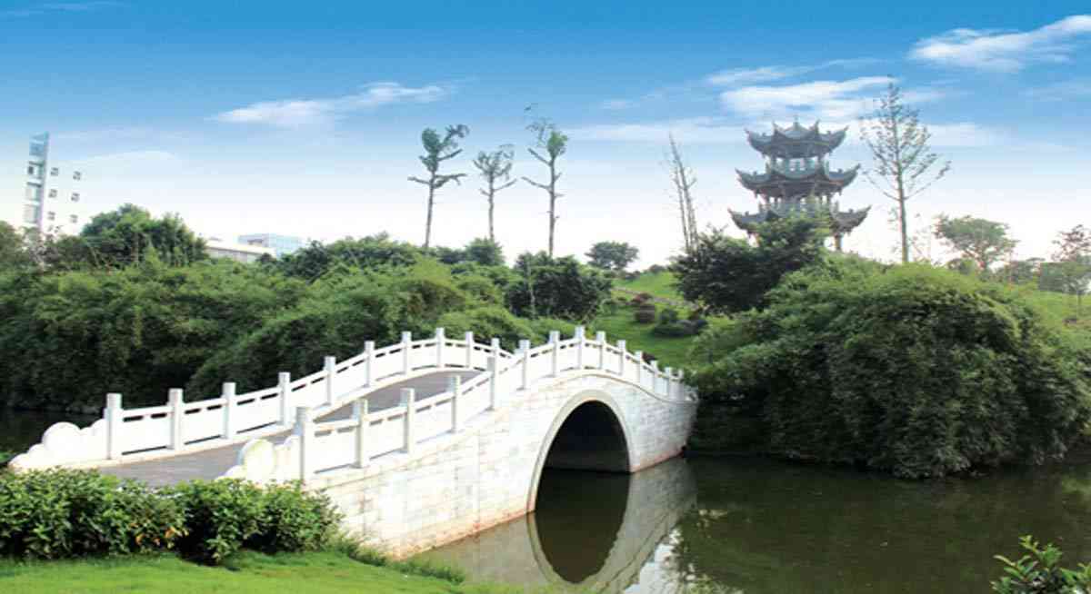 橋