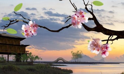 四川體育運(yùn)動(dòng)學(xué)校2025年招生專業(yè)匯總