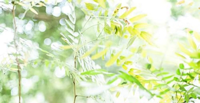 浠水理工中等專業(yè)學校2025年招生簡章