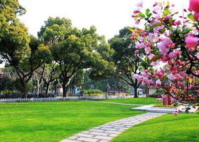 2024年鶴崗中考250分左右能讀哪個高中