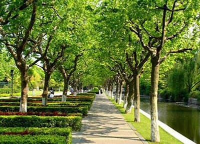 甘肅中醫(yī)藥大學(xué)全國(guó)排名是多少，好不好？
