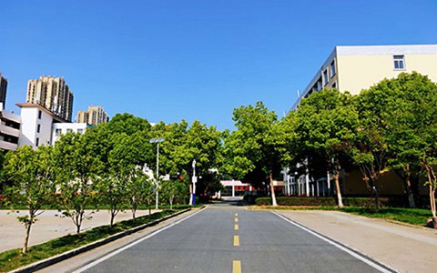 重慶舞蹈學(xué)校開(kāi)設(shè)有哪些專業(yè)?摩登舞專業(yè)就業(yè)方向如何