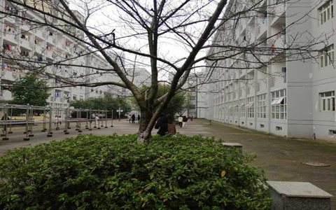 西安市藝術(shù)學(xué)校