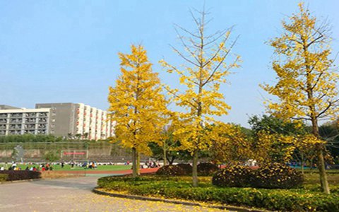 彭水苗族土家族自治縣職業(yè)教育中心服裝制作與生產(chǎn)管理專業(yè)介紹