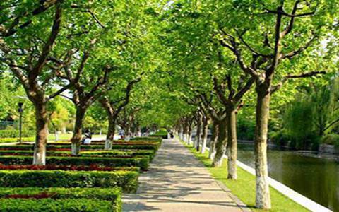 重慶市石柱土家族自治縣職業(yè)教育中心電子商務(wù)專業(yè)介紹