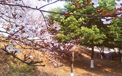 杭州職業(yè)技術(shù)學(xué)院模具設(shè)計與制造專業(yè)到底行不行?設(shè)有哪些課程