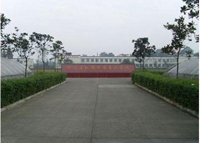 水城縣技工學(xué)校幼兒教育